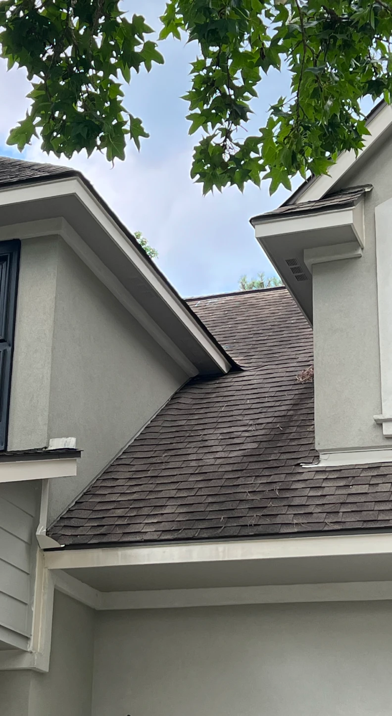 roof and gutters