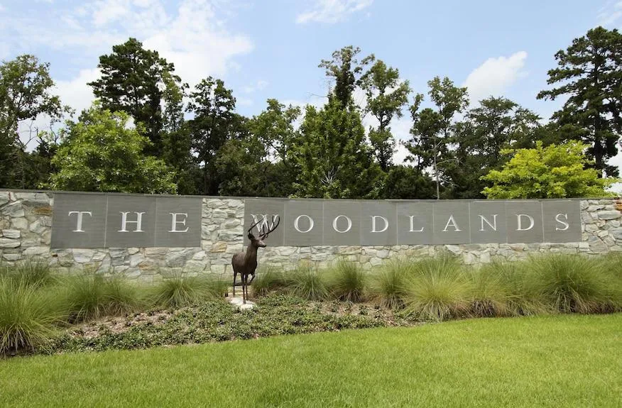 The Woodlands Entrance #1