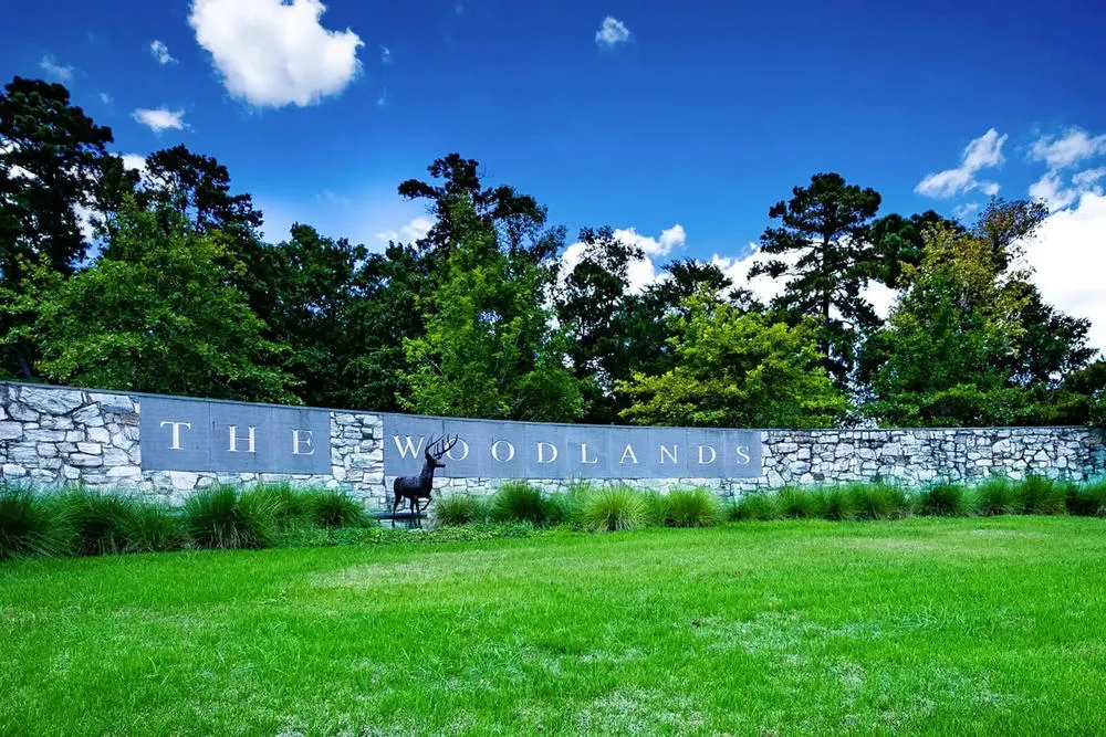 The Woodlands Entrance #2